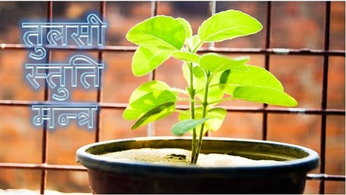 Tulsi Stuti Mantra