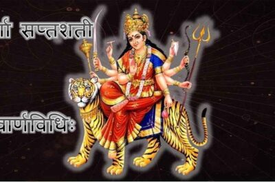 Goddess durga; Devi durga image; durga saptashati image; Navarna Vidhi;